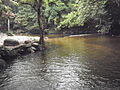 Jeram di Gunung Ledang