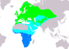 Aire de répartition du Gobemouche gris