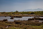 Vignette pour Parc national de l'Axiós-Loudías-Aliákmonas