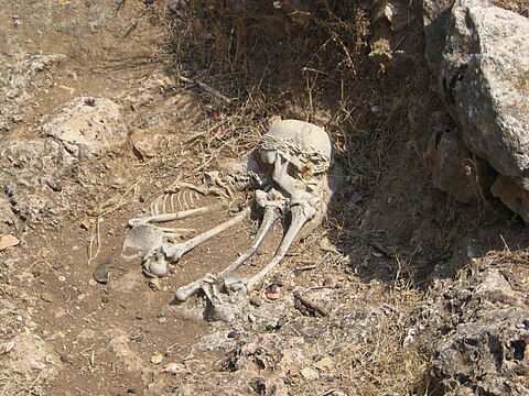 Photographie d'une reproduction d'un squelette en partie enfoui dans le sol.