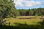 Nature reserve Bansee near Hademstorf HHH 17.jpg