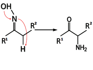 Réarrangement de Neber