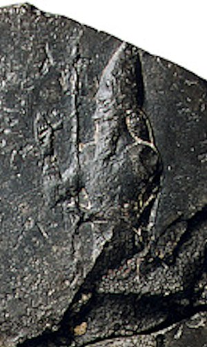 Nebuchadnezzar II relief.jpg