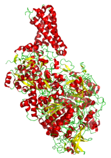 Nitrate réductase.png