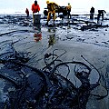 Contaminació d'una platja per abocament de petroli