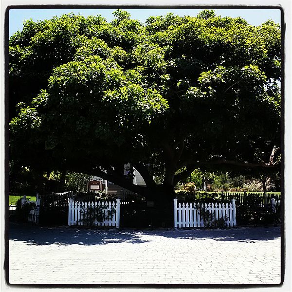 File:Old Town San Diego State Historic Park 2012-09-30 14-49-14.jpg