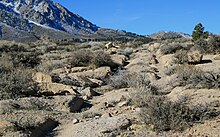 Old wagon road, Paradise to Swall Old wagon road up Sherwin Grade to Swall Meadows.jpg