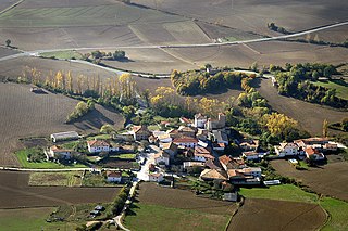 Ollo, Navarre