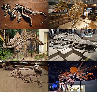 Ornithischia Order of dinosaurs