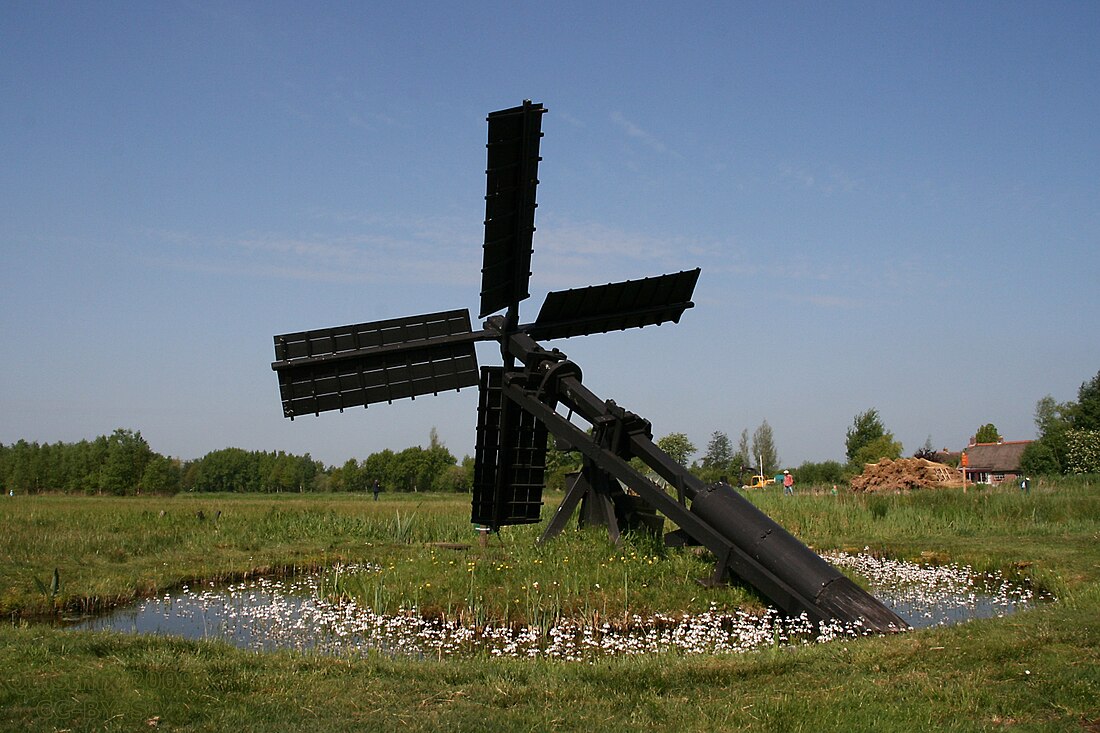 Tjasker Ossenzijl