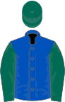 Королевский синий, темно-зеленые рукава и кепка