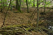 Čeština: Přírodní rezervace Debšín, Horná Súča, okres Trenčín