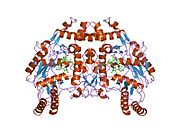 PDB 1dmi EBI.jpg