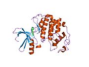 1jvp: ساختار کریستالی CDK2 انسانی (فسفریله نشده) در کمپلکس با PKF049-365