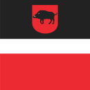 Bandera de Łęczna