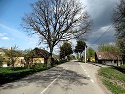 A view along the main road in Palonai