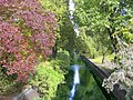 Der Panke-Grünzug in Gesundbrunnen, Natur für einen dichtbesiedelten Ortsteil