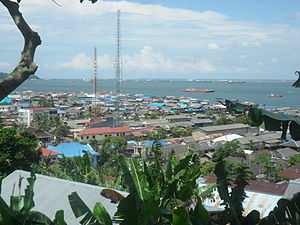 Kalimantan – Travel guide at Wikivoyage