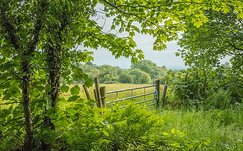 North Wales farmland