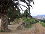 Parc del Mirador de migdia