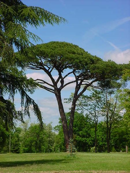 File:Parc de Launac.jpg