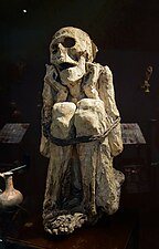 Momie chachapoyas en position fœtale typique qui symbolise la naissance dans l'au-delà. Elle est présentée au musée d'Ethnographie du Trocadéro à partir de 1882