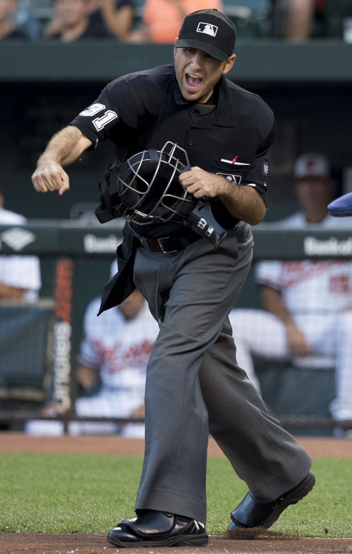 MLB umpire, Urbandale native Pat Hoberg selected to work World Series