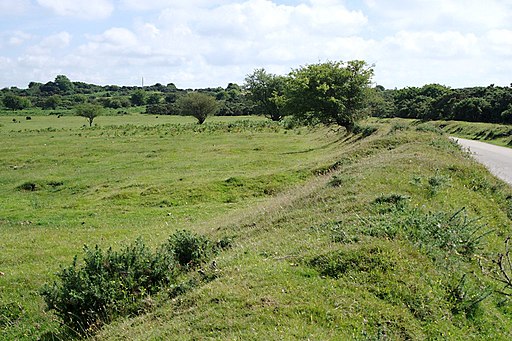 Pendrift Downs - geograph.org.uk - 1978935