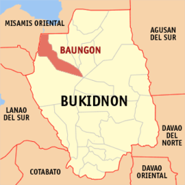 Baungon na Bukidnon Coordenadas : 8°18'46.06"N, 124°41'14.37"E