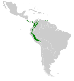 Distribución geográfica del ermitaño verde.