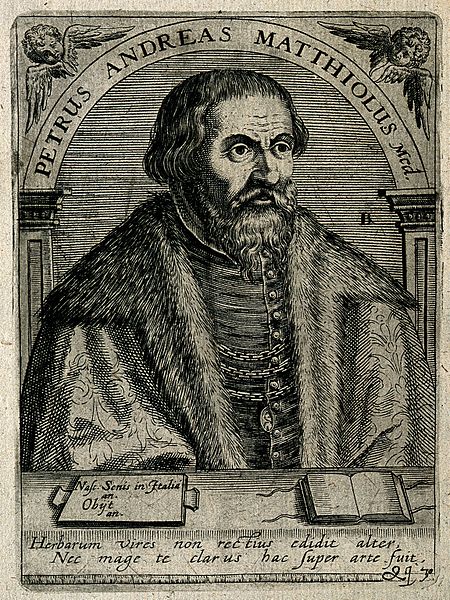 File:Pietro Andrea Mattioli. Line engraving by T. de Bry, 1650, a Wellcome V0003912.jpg