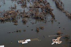Katrina Kasırgası