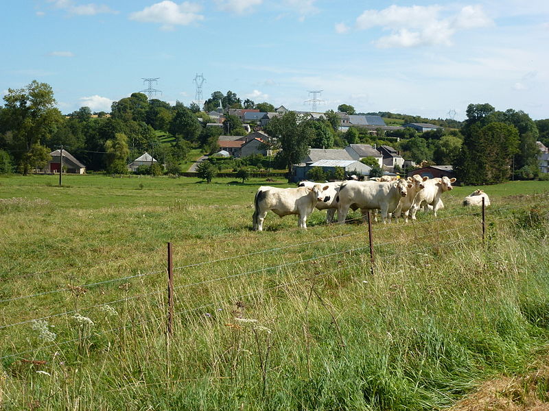 File:Prez (Ardennes) paysage avec vue sur La Cerleau.JPG