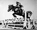 Thumbnail for File:Priscilla Paetsch jumping with her Arabian Stallion, Zigaro.jpg