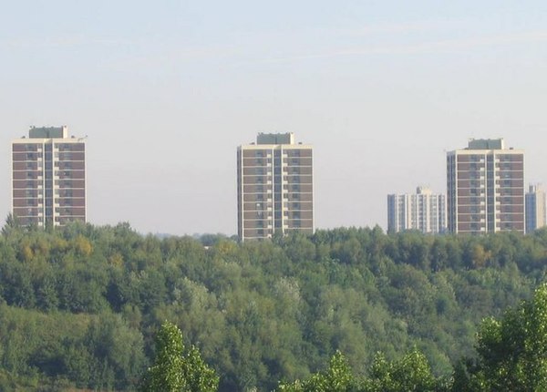 Tower blocks in Walker