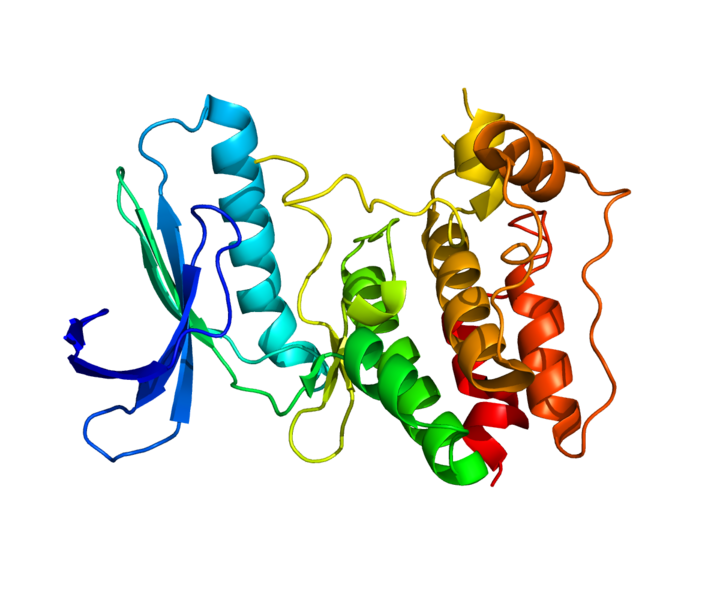 File:Protein TTK PDB 2ZMC.png