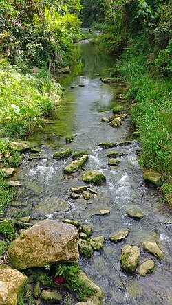 Indio River between Quebrada Arenas and Almirante Sur