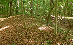 Ringwall auf dem Gehrdener Berg