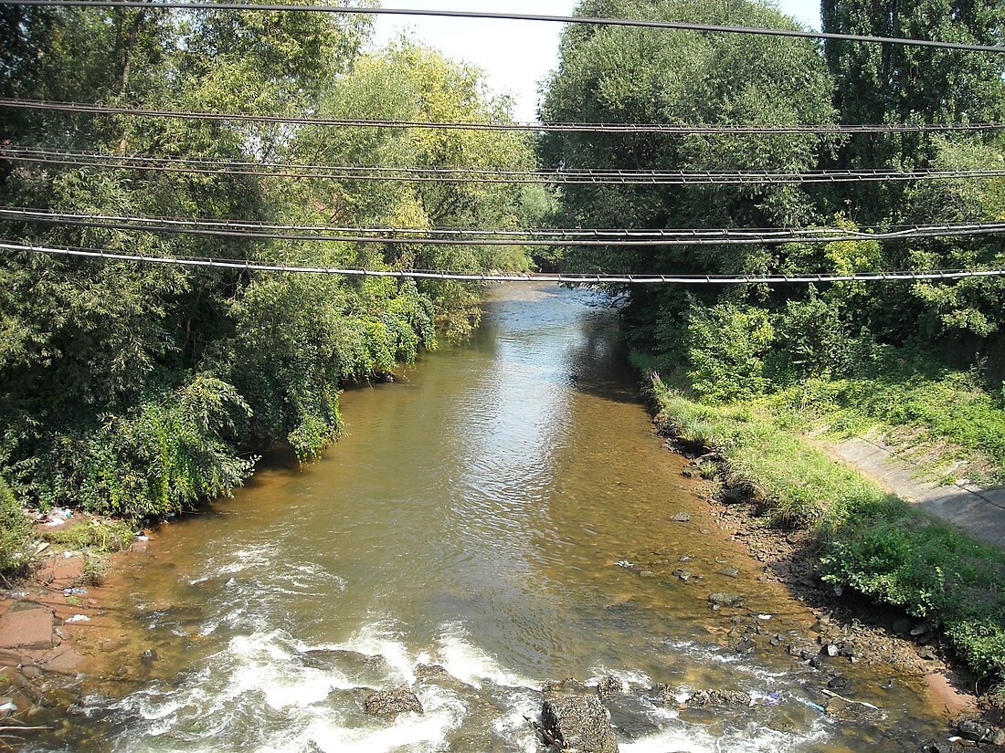 Sebeș (river)