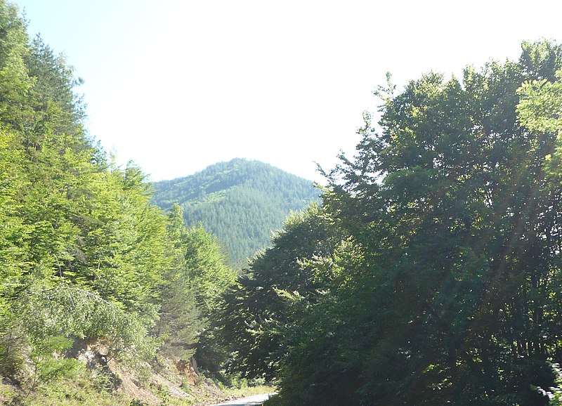 File:Road from Yamna to Cherni Vit - panoramio (1).jpg