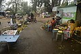 Roadside fruit shops in Kolli Hills JEG3120.JPG