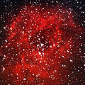 NGC 2237 장미성운