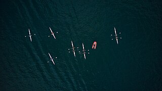 Ruderboote auf dem Gardasee bei Salo, 2024
