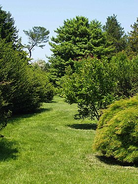 Rutgers Gardens - arboretum.JPG