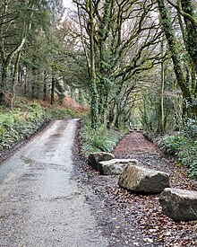 Trackbed of the branch line to Ruthernbridge in 2020 Ruthern branch.jpg