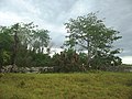 San Antonio Puhá, Yucatán.