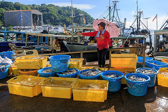 A woman in red is negotiating the catch of the day in blue and yellow baskets (Sandakan, Sabah)