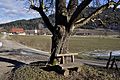 English: A tree, a bench, a rural way Deutsch: Ein Baum, eine Bank, ein Feldweg