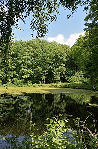 Schleswig-Holstein, Heiligenstedten, Landschaftsschutzgebiet Waldfläche „Heiligenstedtener Holz“ NIK 6680.JPG