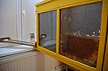 Das Bienenvolk im Naturkundemuseum Niebüll